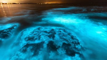 Glowing, bright blue phenomenon off Australia's coast seen in stunning images