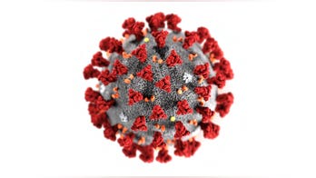 How did the coronavirus outbreak start?