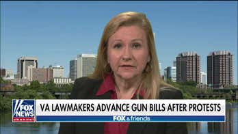 State senator on Virginia House advancing gun control bills after protest
