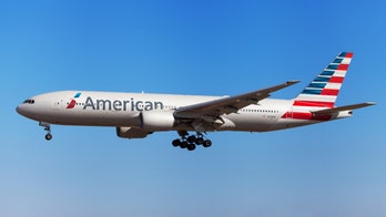 Chicago police remove 'disruptive passenger' that caused 'disturbance' on American Airlines flight