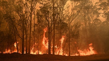 New study says Australian wildfires damaged the ozone layer