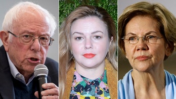 Actress Amber Tamblyn faces backlash after claiming Warren 'told HER truth' in spat with Sanders