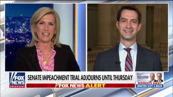 Tom Cotton: If I added vodka to my milk on the Senate floor, Schiff would've accused me of collusion