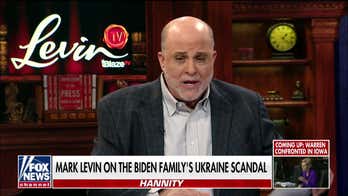 Mark Levin: Schiff, Nadler, and other 'mobsters' are the ones 'interfering' in a presidential election