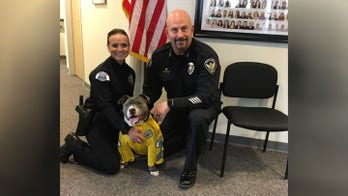 Terminally ill dog made honorary police K-9