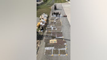 Ohio customs agents seize 3,700 'invasive' mitten crabs hidden in shipments from China, Hong Kong: officials