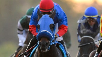 Report: Vets missed chances involving Breeders' Cup fatality