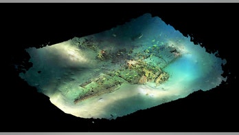 Sunken US WWII plane revealed in stunning seabed images