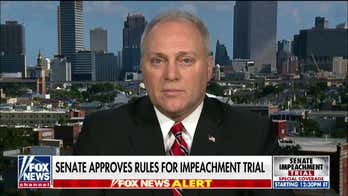 Steve Scalise says Pelosi broke House rules and 'rammed' through impeachment articles