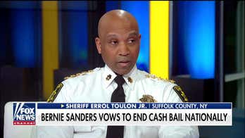 New York bail law under fire after bank robbery suspect allegedly robs again the next day
