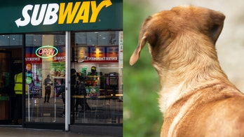 Stray dog dubbed 'Subway Sally' waits outside store every day for food, video shows