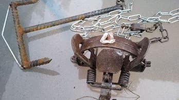 South Dakota woman, dog caught in animal trap while hiking: report