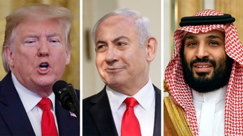 Saudi Arabia backs US-Israel efforts to achieve Mideast peace