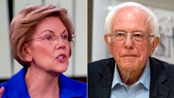 Warren opts out of defending Sanders from Hillary Clinton's 'Nobody likes him' jab: 'I'm not going there'