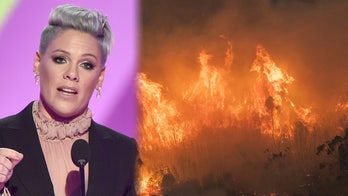 Singer Pink donates $500G to help fight Australia wildfires
