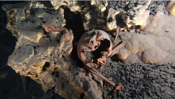 Ancient skulls unearthed in Mexico reveal surprising diversity of early humans