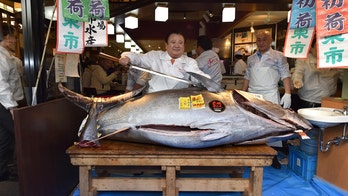 Japanese 'Tuna King' pays $1.8 million for bluefin tuna at New Year's auction