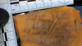 Cheese slices ‘produce great fingerprints,’ Texas police discover