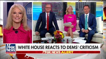 Kellyanne Conway: Dems are 'reflexively' negative even when Trump kills a terrorist