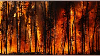 Pollution in New York linked to wildfires hundreds of miles away