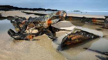 WWI German shipwreck spotted on English beach