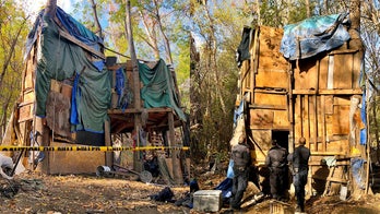 California crews dismantle 3-story 'treehouse' homeless shelter as final phase of cleanup initiative begins