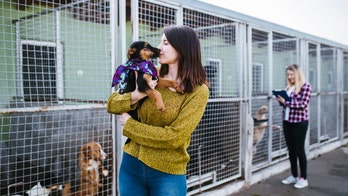 Florida bill seeks to declare shelter animals as state's official pet