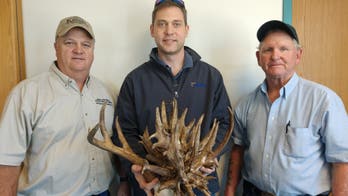 Kansas bowhunter harvests buck with incredibly unusual antlers: 'In complete shock'