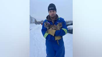 Man rescues freezing kittens stuck to ice by pouring coffee on them
