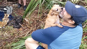 Florida dog owner reunites with Chihuahua missing for days after New Year's Eve car crash