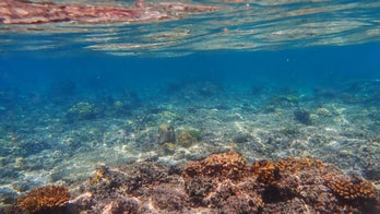 Earth's oceans have warmed by rate of more than 3B atomic bombs over past 70 years, shocking study says