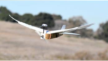 ‘PigeonBot,’ one of the first robots to bend its wings like a real bird, is unveiled