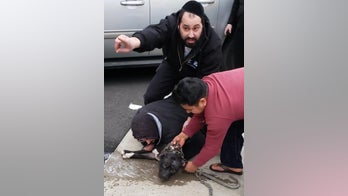 Man saves baby, girl from pit bull attack
