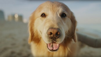 CEO spends $6 million on Super Bowl commercial to thank vets who saved family dog