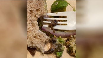 Hawaii woman bites into sandwich, allegedly finds parasite-infested slug