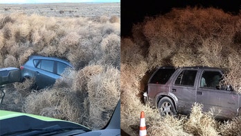 'Tumblegeddon': Washington highway closed for hours after piles of tumbleweed trap cars, semi-truck