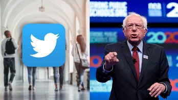 Millennial activist: Sanders targeting 'very radical ideas' to young people on Twitter