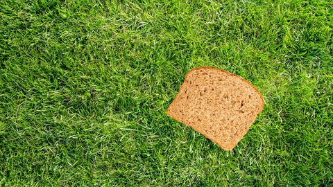 Redditors create 'Earth sandwich' by placing bread on opposite sides of the globe, just because