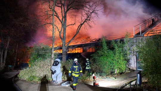 Germany zoo fire kills more than 30 animals, may have been sparked by New Year's Eve 'sky lanterns'