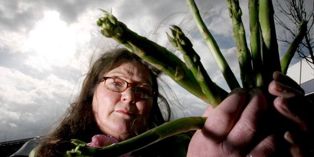 Jemima Packington, 64, reportedly the world’s only "asparamancer," says she is able to see the future by throwing asparagus into the air.