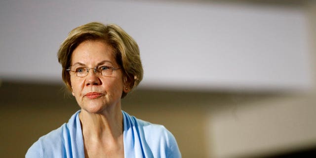 Democratic presidential candidate Sen. Elizabeth Warren, D-Mass., speaks during a campaign event, Saturday, Jan. 11, 2020, in Mason City, Iowa. (AP Photo/Patrick Semansky)