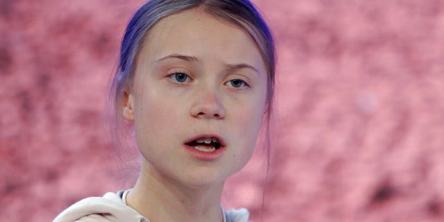 Swedish environmental activist Greta Thunberg addresses guests at the World Economic Forum in Davos, Switzerland.