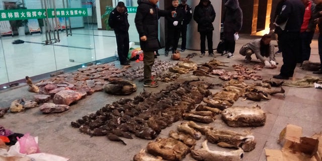 Police look at items seized from store suspected of trafficking wildlife in Guangde city in central China's Anhui Province. (Anti-Poaching Special Squad via AP)