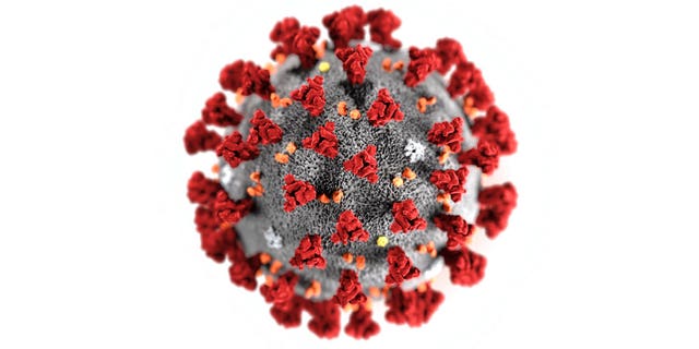 This illustration provided by the Centers for Disease Control and Prevention in January 2020 shows the 2019 Novel Coronavirus (2019-nCoV).