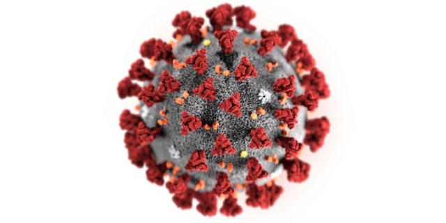 This illustration provided by the Centers for Disease Control and Prevention in January 2020 shows the 2019 Novel Coronavirus (2019-nCoV). This virus was identified as the cause of an outbreak of respiratory illness first detected in Wuhan, China. (Centers for Disease Control and Prevention via AP)