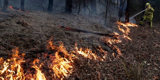 A firefighter manages a controlled burn to help contain a larger fire near Falls Creek, Australia, Sunday, Jan. 5, 2020. The deadly wildfires, which have been raging since September, have already burned about 5 million hectares (12.35 million acres) of land and destroyed more than 1,500 homes. (AP Photo/Rick Rycroft)