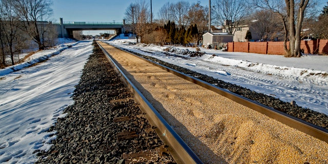 Train tracks are filled with corn spilled from a train on a Canadian Pacific line and sat two inches deep for just under a half-mile, Tuesday, Jan. 7, 2020, in Crystal, Minn.