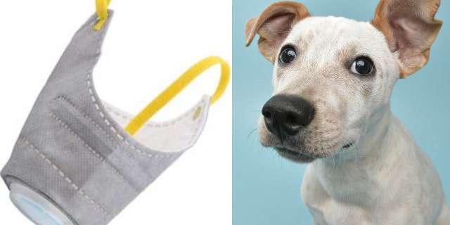 “Dogs may not be willing to put on the protective devices at the beginning, but 'compared to risking their lives, prevention is priority," said Chinese seller Zhou Tianxiao. (Photo: Alibaba/Yantai Minghua Textile Technology Co., Ltd/iStock)