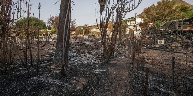 The charred remains of a neighborhood where a fire destroyed several homes after a shooting in Honolulu over the weekend is shown Wednesday, Jan. 22, 2020. Hawaii has some of the nation's strictest gun laws, but the killing of two Honolulu police officers by a man believed to have psychiatric issues has given new urgency to efforts to close gun control loopholes and bolster mental health treatment. (Cindy Ellen Russell/Honolulu Star-Advertiser via AP)