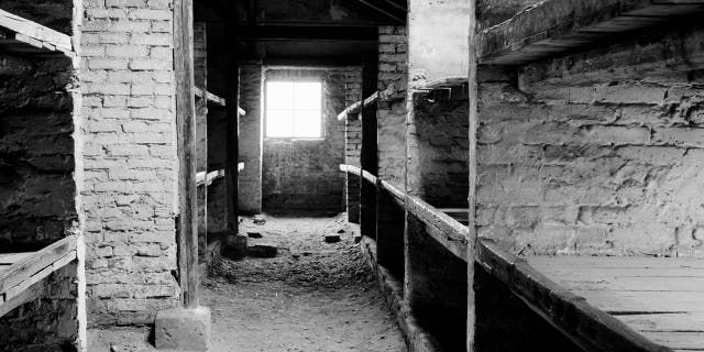 A view inside a prisoner barracks in the former Nazi death camp of Auschwitz Birkenau or Auschwitz II in Oswiecim, Poland. (AP Photo/Markus Schreiber)